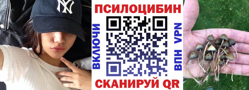Псилоцибиновые грибы Cubensis  Покровск 
